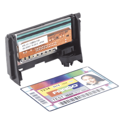 Cabezal de Impresión para Tarjetas / 300 dpi / 16.7 Millones de Colores / USB 2.0 / Ethernet Opcional / 32 MB RAM