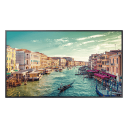  Pantalla Profesional LED de 43", UHD 4K (3840x2160p), Entradas de Video HDMI/DisplayPort/HDCP, Bocinas Integradas de 10 W. Compatible VESA