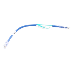 Cable de Parcheo UTP / Cat 6 / 24 AWG / 0.3 m (1 ft) / T568B / CM / Azul