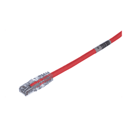 Cable de Parcheo UTP / Categoría 6 / 24 AWG / CM/LSZH / 1 ft (0.3 m) / T568A/B / 50 µin Oro