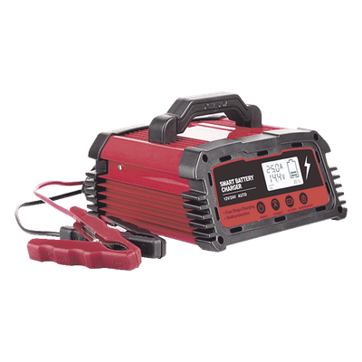 Cargador de Baterías / 12 o 24 Vcc / hasta 250 Ah / 25 A / Display LCD 