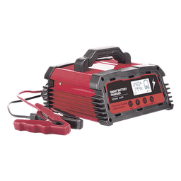 Cargador de Baterías / 12 o 24 Vcc / hasta 250 Ah / 25 A / Display LCD 
