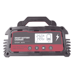 Cargador de Baterías / 12 o 24 Vcc / hasta 250 Ah / 25 A / Display LCD 