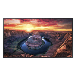 Pantalla Profesional LED / 55 Pulgadas / UHD 4K 3840x2160p / 500 Nits / Operación 24/7 / HDMI 2.0 y DisplayPort 1.2 / VESA 200x200 mm