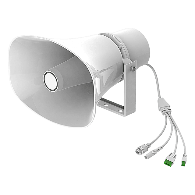 Audio IP