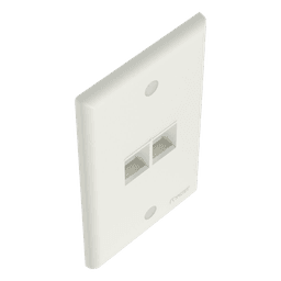 Placa de Pared Vertical / 2 Puertos Keystone / Diseño Plano / 69.8 x 114.3 mm / Blanco Mate