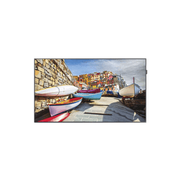 Pantalla Profesional LED de 43", Resolución 1920x1080p, Entradas de Video HDMI / DVI-I / Display Port. Con Bocinas Intergradas de 10 W. Compatible VESA