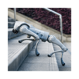 Perro Robot Biónico Para Inspección / Inteligencia Artificial / Reconocimiento De Humanos / Incluye 1 Control Remoto / Tareas Programadas / Cámara Integrada